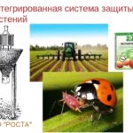 1. Интегрированная система защиты растений.